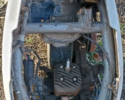 Хонда Інша, об'ємом двигуна 49 л та пробігом 0 тис. км за 48 $, фото 1 на Automoto.ua