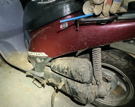 Хонда Другая, объемом двигателя 49 л и пробегом 0 тыс. км за 332 $, фото 2 на Automoto.ua