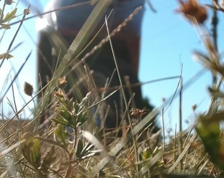 Хонда Другая, объемом двигателя 50 л и пробегом 0 тыс. км за 190 $, фото 2 на Automoto.ua