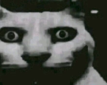 Хонда Другая, объемом двигателя 50 л и пробегом 0 тыс. км за 213 $, фото 9 на Automoto.ua