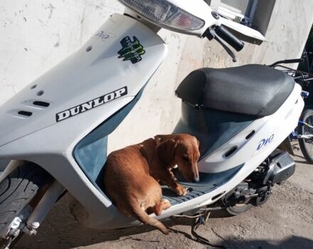 Хонда Другая, объемом двигателя 50 л и пробегом 0 тыс. км за 237 $, фото 1 на Automoto.ua