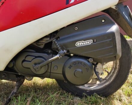 Хонда Другая, объемом двигателя 65 л и пробегом 0 тыс. км за 255 $, фото 3 на Automoto.ua