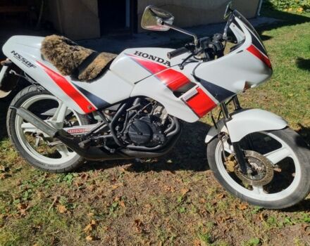 Хонда Другая, объемом двигателя 50 л и пробегом 0 тыс. км за 714 $, фото 5 на Automoto.ua