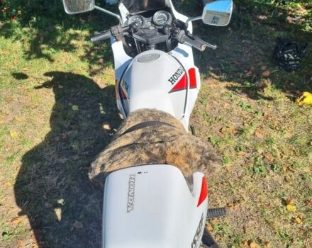 Хонда Другая, объемом двигателя 50 л и пробегом 0 тыс. км за 714 $, фото 7 на Automoto.ua