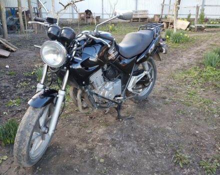 Хонда Інша, об'ємом двигуна 0.5 л та пробігом 0 тис. км за 2450 $, фото 1 на Automoto.ua