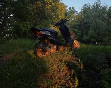 Хонда Інша, об'ємом двигуна 65 л та пробігом 0 тис. км за 364 $, фото 7 на Automoto.ua