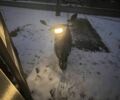 Хонда Другая, объемом двигателя 49 л и пробегом 0 тыс. км за 436 $, фото 2 на Automoto.ua