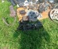 Хонда Інша, об'ємом двигуна 50 л та пробігом 0 тис. км за 145 $, фото 5 на Automoto.ua