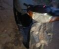 Хонда Інша, об'ємом двигуна 50 л та пробігом 0 тис. км за 49 $, фото 1 на Automoto.ua