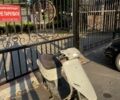 Хонда Другая, объемом двигателя 0 л и пробегом 0 тыс. км за 194 $, фото 2 на Automoto.ua