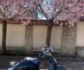 Хонда Інша, об'ємом двигуна 49 л та пробігом 0 тис. км за 240 $, фото 2 на Automoto.ua