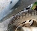 Хонда Другая, объемом двигателя 49 л и пробегом 0 тыс. км за 158 $, фото 3 на Automoto.ua