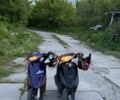 Хонда Інша, об'ємом двигуна 49 л та пробігом 0 тис. км за 485 $, фото 5 на Automoto.ua