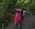 Хонда Інша, об'ємом двигуна 65 л та пробігом 0 тис. км за 436 $, фото 1 на Automoto.ua