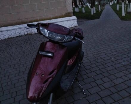 Хонда Інша, об'ємом двигуна 65 л та пробігом 0 тис. км за 352 $, фото 4 на Automoto.ua
