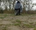 Хонда Інша, об'ємом двигуна 49 л та пробігом 0 тис. км за 242 $, фото 2 на Automoto.ua