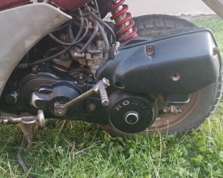 Хонда Інша, об'ємом двигуна 65 л та пробігом 0 тис. км за 194 $, фото 4 на Automoto.ua