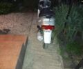 Хонда Другая, объемом двигателя 49 л и пробегом 0 тыс. км за 85 $, фото 3 на Automoto.ua