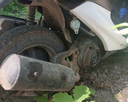 Хонда Другая, объемом двигателя 49 л и пробегом 0 тыс. км за 315 $, фото 7 на Automoto.ua