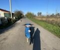 Хонда Інша, об'ємом двигуна 65 л та пробігом 0 тис. км за 206 $, фото 3 на Automoto.ua