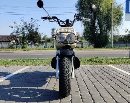 Хонда Другая, объемом двигателя 49 л и пробегом 0 тыс. км за 650 $, фото 10 на Automoto.ua