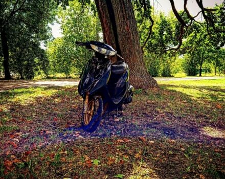 Хонда Другая, объемом двигателя 65 л и пробегом 0 тыс. км за 252 $, фото 2 на Automoto.ua