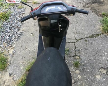 Хонда Другая, объемом двигателя 49 л и пробегом 0 тыс. км за 289 $, фото 4 на Automoto.ua
