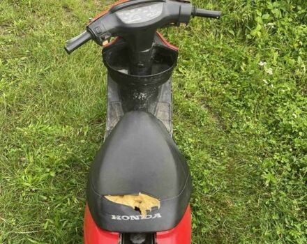 Хонда Другая, объемом двигателя 49 л и пробегом 0 тыс. км за 243 $, фото 5 на Automoto.ua