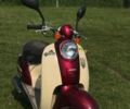 Хонда Другая, объемом двигателя 49 л и пробегом 0 тыс. км за 400 $, фото 2 на Automoto.ua
