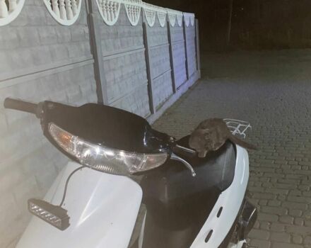 Хонда Другая, объемом двигателя 65 л и пробегом 0 тыс. км за 239 $, фото 3 на Automoto.ua