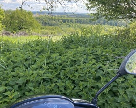 Хонда Другая, объемом двигателя 49 л и пробегом 0 тыс. км за 599 $, фото 4 на Automoto.ua