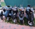 Хонда Другая, объемом двигателя 49 л и пробегом 0 тыс. км за 499 $, фото 3 на Automoto.ua