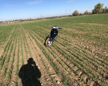 Хонда Інша, об'ємом двигуна 49 л та пробігом 0 тис. км за 158 $, фото 4 на Automoto.ua