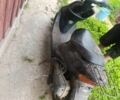 Хонда Другая, объемом двигателя 0 л и пробегом 0 тыс. км за 360 $, фото 2 на Automoto.ua