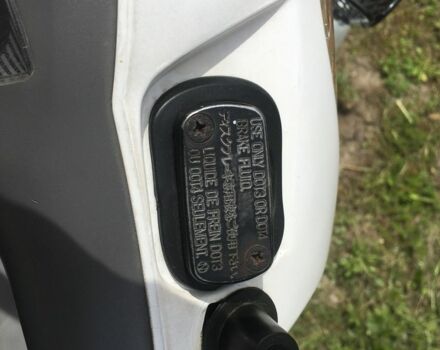 Хонда Другая, объемом двигателя 49 л и пробегом 0 тыс. км за 363 $, фото 4 на Automoto.ua