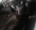 Хонда Другая, объемом двигателя 50 л и пробегом 0 тыс. км за 194 $, фото 5 на Automoto.ua