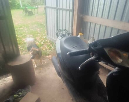 Хонда Другая, объемом двигателя 49 л и пробегом 0 тыс. км за 639 $, фото 4 на Automoto.ua