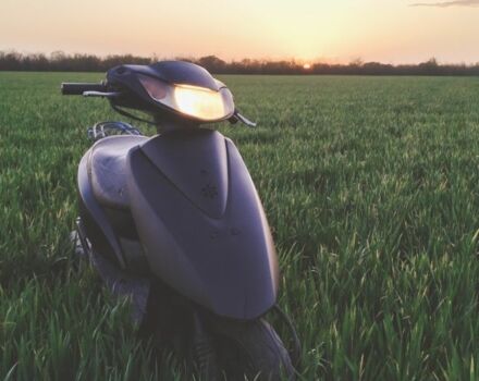 Хонда Другая, объемом двигателя 49 л и пробегом 0 тыс. км за 388 $, фото 3 на Automoto.ua