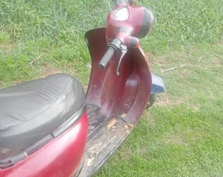Хонда Другая, объемом двигателя 49 л и пробегом 0 тыс. км за 6500 $, фото 2 на Automoto.ua