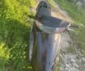 Хонда Другая, объемом двигателя 49 л и пробегом 0 тыс. км за 218 $, фото 3 на Automoto.ua