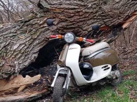 Хонда Другая, объемом двигателя 50 л и пробегом 0 тыс. км за 166 $, фото 1 на Automoto.ua