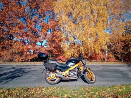 Хонда Інша, об'ємом двигуна 0.65 л та пробігом 0 тис. км за 3500 $, фото 1 на Automoto.ua