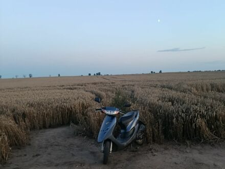 Хонда Другая, объемом двигателя 50 л и пробегом 0 тыс. км за 263 $, фото 1 на Automoto.ua