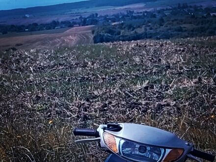 Хонда Інша, об'ємом двигуна 65 л та пробігом 0 тис. км за 370 $, фото 1 на Automoto.ua