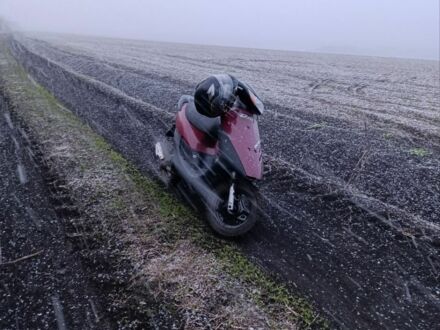 Хонда Другая, объемом двигателя 49 л и пробегом 0 тыс. км за 142 $, фото 1 на Automoto.ua