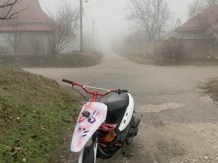 Хонда Інша 2009 у Кам'янське (Дніпродзержинськ) на Automoto.ua Хонда Інша, об'ємом двигуна 49 л та пробігом 0 тис. км за 363 $, фото 1 на Automoto.ua