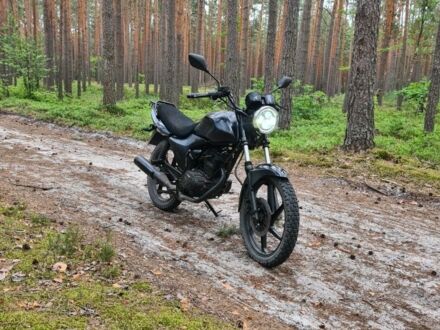 Хонда Інша 2015 у Березне на Automoto.ua Хонда Інша, об'ємом двигуна 0.18 л та пробігом 0 тис. км за 437 $, фото 1 на Automoto.ua