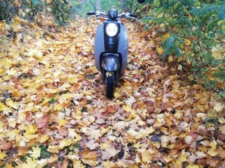 Хонда Інша, об'ємом двигуна 49 л та пробігом 0 тис. км за 399 $, фото 1 на Automoto.ua