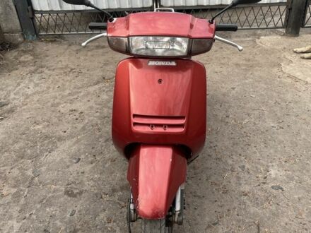 Хонда Леад, объемом двигателя 49 л и пробегом 0 тыс. км за 267 $, фото 1 на Automoto.ua
