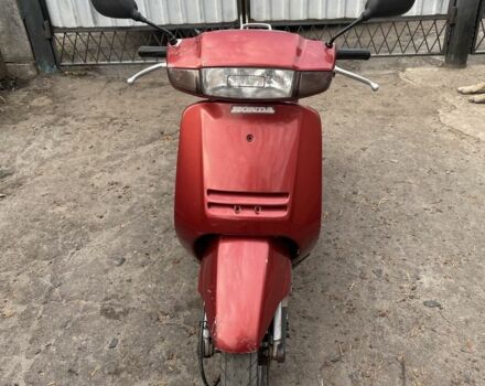 Хонда Леад, объемом двигателя 49 л и пробегом 0 тыс. км за 267 $, фото 1 на Automoto.ua